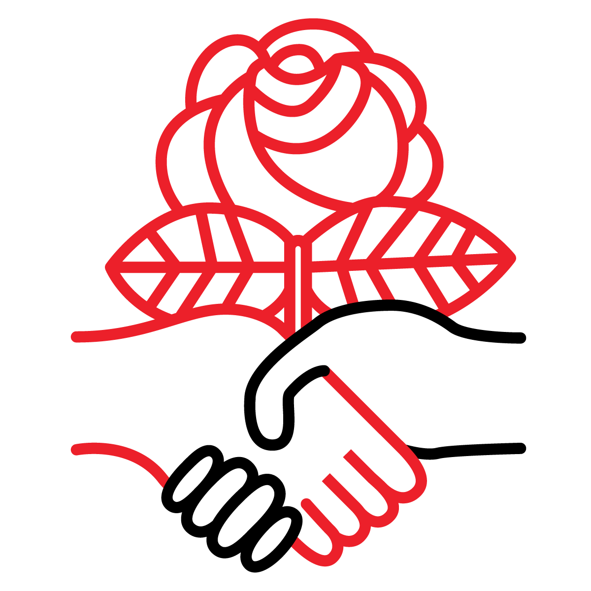 National DSA Logo